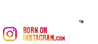Streetwalaphotographer Sticker by BORN ON INSTAGRAM