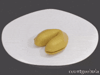 Angry Tuxedo Cat GIF