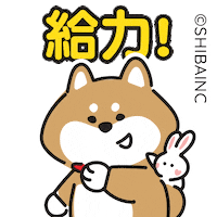 Fun Love Sticker by SHIBAINC