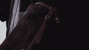 Shed Headless Horseman GIF by Conner Prairie