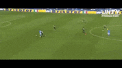 demiral GIF by nss sports