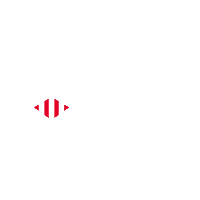 Esportshivern Sticker by FCEH