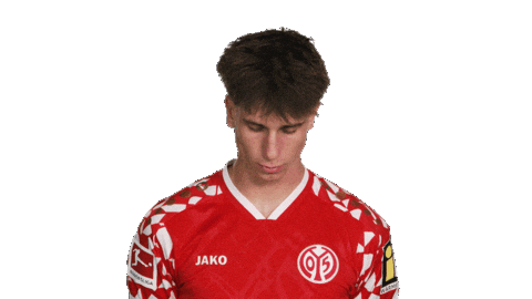 Look Up Mainz 05 Sticker by Bundesliga