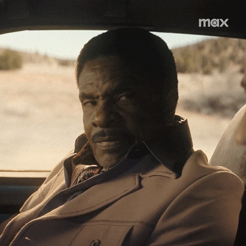 Duster GIF by HBO Max