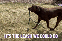 GIF by Planet Fitness