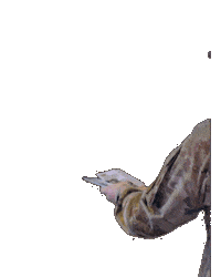 Us Army Soldier Sticker by Only_Reilly