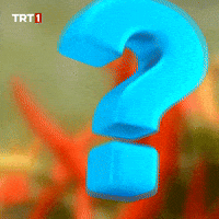 Question Mark What GIF by TRT