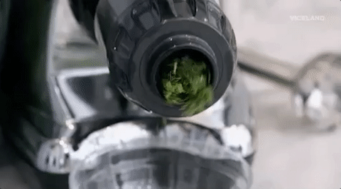 viceland GIF by Bong Appétit