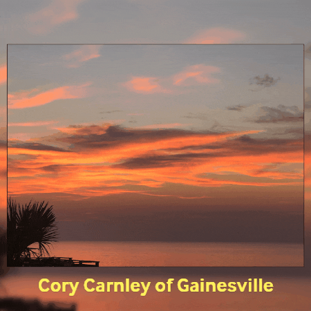 corycarnleygainesville giphygifmaker giphyattribution GIF