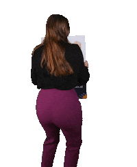 VanSpronsenMakelaars van spronsen van spronsen makelaar makelaar hendrik ido ambacht Sticker