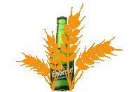 Bier Hopfen Sticker by Einbecker Brauhaus