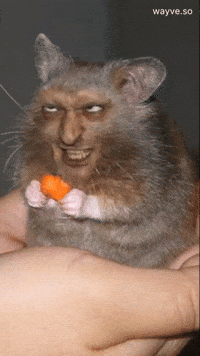 Trending Feels GIF by Darwin