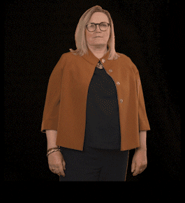 fdpfraktionlsa giphyupload fdplsa fdpfraktionlsa tarricone GIF