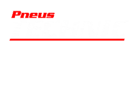 Logo Tire Sticker by Pneus Technic