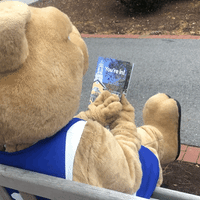 college mascot GIF by Wheaton College (MA)