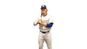 College Sports Fun Sticker by Delaware Blue Hens
