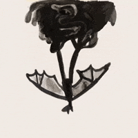 Flying Fox Rain GIF by Barbara Pozzi