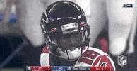 Atlanta Falcons Football GIF by NFL