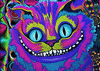 Alice In Wonderland Cat GIF