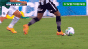 Serie A GIF by Canal Premiere