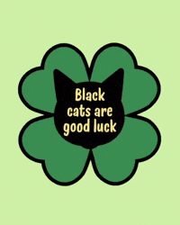 Black Cat Good Luck GIF
