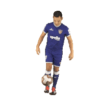 Indian Football Sticker by Indian Super League