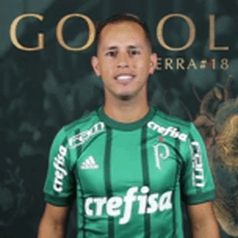 gol GIF by SE Palmeiras