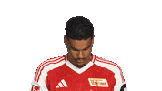 Look Up Union Berlin Sticker by Bundesliga