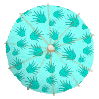 garnier_czsk longhair garnier fructis hairfood Sticker