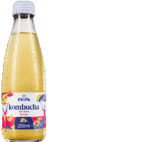 Kombucha Croatia Sticker by ekipa.hr