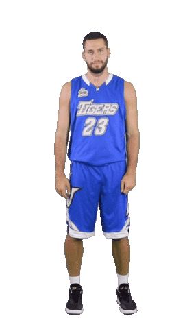 Basketball Hello Sticker by ACSL - Austrian College Sports League
