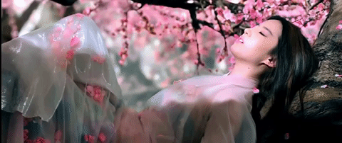 liu yi fei san sheng san shi shi li tao hua GIF