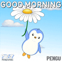 Good Morning GIF by Pudgy Penguins
