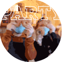 Dance Party GIF by Bross Bagels