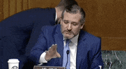 Voting Rights GIF by GIPHY News