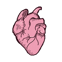 Heart Heartbeat Sticker by Krajewska