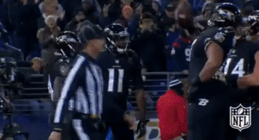 Baltimore Ravens Football GIF by NFL