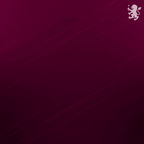 Happy Premier League GIF by Aston Villa FC