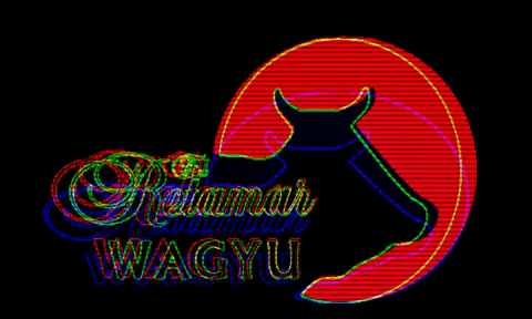 WagyuRetamar giphygifmaker wagyu wagyuretamar wagyumafia GIF