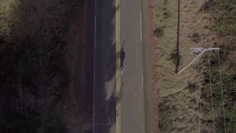 GIF by Paranoiia Productions