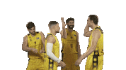 Liga Endesa Basketball Sticker by ACB