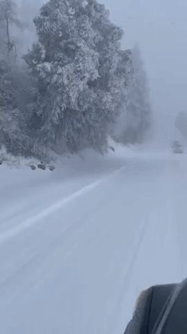 Winter Storm in Big Bear Prompts Blizzard Warning