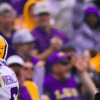Lsu Football Lsufb19 GIF by LSU Tigers