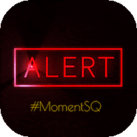 Be Happy Joe Biden GIF by MomentSQ