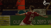 Celtic Fc Hearts GIF by SPFL