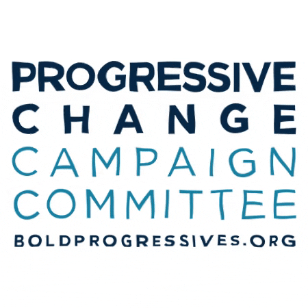 boldprogressive giphygifmaker vote democrat progress GIF