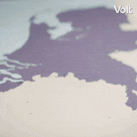 Verkiezingen Stemvolt GIF by VoltNL