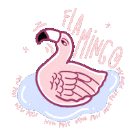 Pool Party Summer Sticker by Espelho