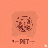 pets love your pet day GIF by CBC