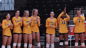 Clapping GIF by NDSU Athletics